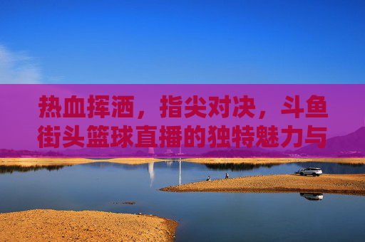 热血挥洒,指尖对决,斗鱼街头篮球直播的独特魅力与狂欢夜