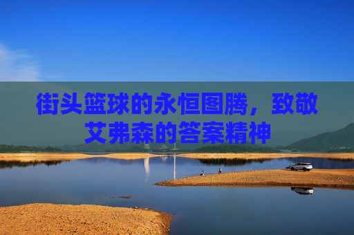 街头篮球的永恒图腾,致敬艾弗森的答案精神