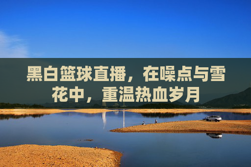 黑白篮球直播,在噪点与雪花中,重温热血岁月