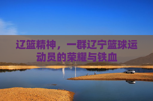 辽篮精神,一群辽宁篮球运动员的荣耀与铁血