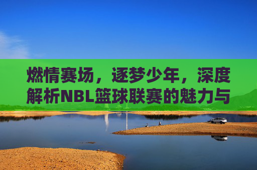 燃情赛场,逐梦少年,深度解析NBL篮球联赛的魅力与未来