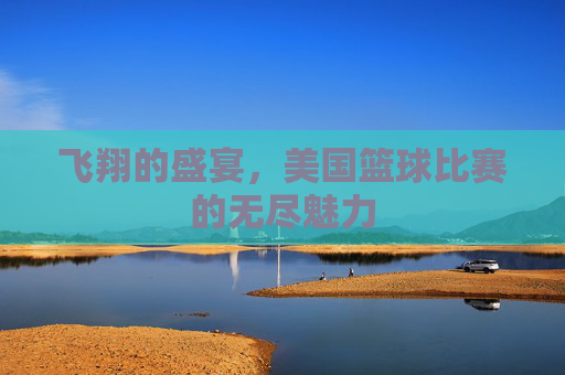飞翔的盛宴,美国篮球比赛的无尽魅力