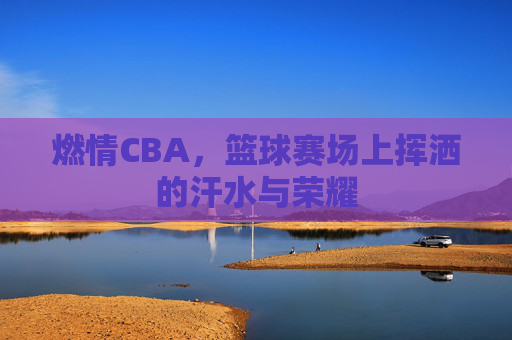 燃情CBA,篮球赛场上挥洒的汗水与荣耀