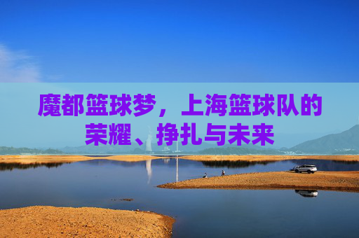 魔都篮球梦,上海篮球队的荣耀、挣扎与未来