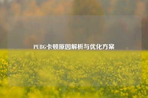 PUBG卡顿原因解析与优化方案