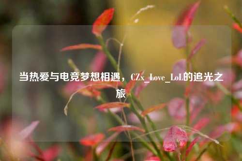 当热爱与电竞梦想相遇，CZx_Love_LoL的追光之旅