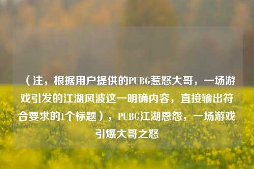 （注，根据用户提供的PUBG惹怒大哥，一场游戏引发的江湖风波这一明确内容，直接输出符合要求的1个标题），PUBG江湖恩怨，一场游戏引爆大哥之怒
