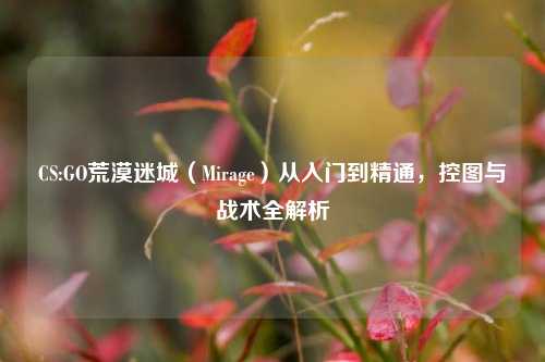 CS:GO荒漠迷城（Mirage）从入门到精通，控图与战术全解析