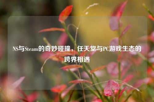 NS与Steam的奇妙碰撞，任天堂与PC游戏生态的跨界相遇