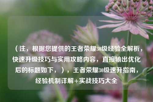 （注，根据您提供的王者荣耀30级经验全解析，快速升级技巧与实用攻略内容，直接输出优化后的标题如下，），王者荣耀30级速升指南，经验机制详解+实战技巧大全