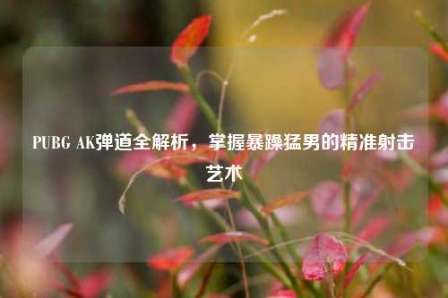 PUBG AK弹道全解析，掌握暴躁 *** 的精准射击艺术