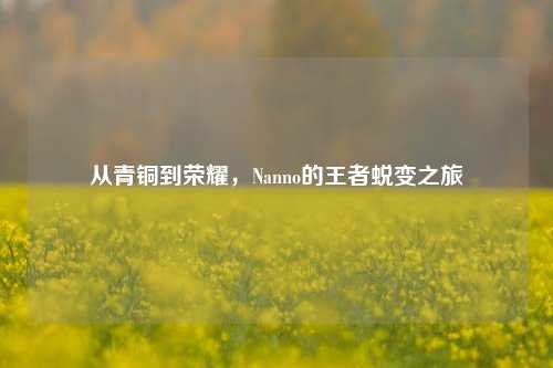 从青铜到荣耀，Nanno的王者蜕变之旅