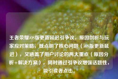 王者荣耀iOS版更新延迟引争议，原因剖析与玩家应对策略，既点明了核心问题（iOS版更新延迟），又涵盖了用户讨论的两大重点（原因分析+解决方案），同时通过引争议增强话题性，吸引读者点击。