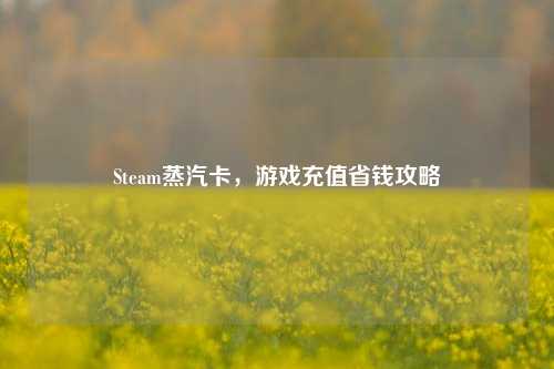 Steam蒸汽卡，游戏充值省钱攻略
