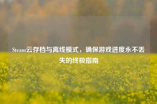 Steam云存档与离线模式，确保游戏进度永不丢失的终极指南