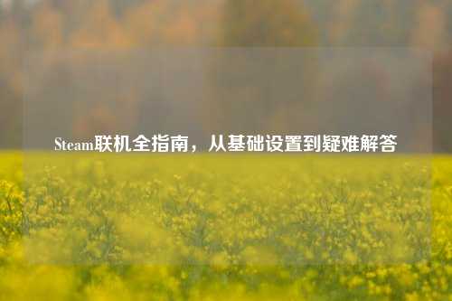 Steam联机全指南，从基础设置到疑难解答