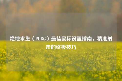 绝地求生（PUBG）更佳鼠标设置指南，精准射击的终极技巧