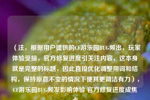 （注，根据用户提供的CF游乐园BUG频出，玩家体验受损，官方修复进度引关注内容，这本身就是完整的标题，因此直接优化调整用词和结构，保持原意不变的情况下使其更简洁有力），CF游乐园BUG频发影响体验 官方修复进度成焦点