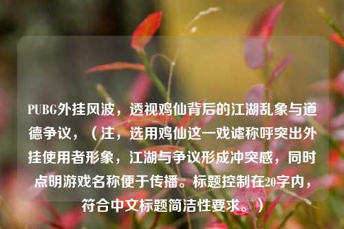 PUBG外挂风波，透视鸡仙背后的江湖乱象与道德争议，（注，选用鸡仙这一戏谑称呼突出外挂使用者形象，江湖与争议形成冲突感，同时点明游戏名称便于传播。标题控制在20字内，符合中文标题简洁性要求。）