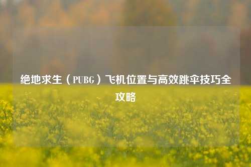 绝地求生（PUBG）飞机位置与高效跳伞技巧全攻略