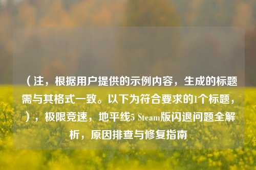 （注，根据用户提供的示例内容，生成的标题需与其格式一致。以下为符合要求的1个标题，），极限竞速，地平线5 Steam版闪退问题全解析，原因排查与修复指南