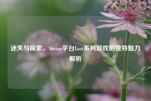 迷失与探索，Steam平台Lost系列游戏的独特魅力解析