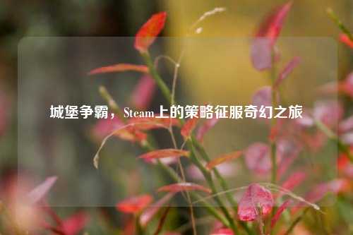 城堡争霸,Steam上的策略征服奇幻之旅