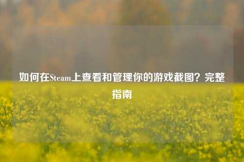 如何在Steam上查看和管理你的游戏截图？完整指南