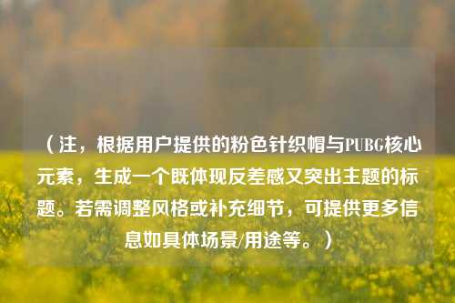 （注，根据用户提供的粉色针织帽与PUBG核心元素，生成一个既体现反差感又突出主题的标题。若需调整风格或补充细节，可提供更多信息如具体场景/用途等。）