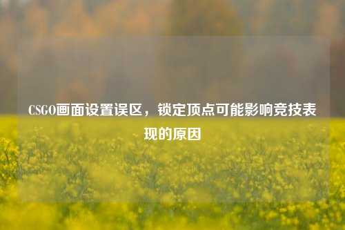 CSGO画面设置误区,锁定顶点可能影响竞技表现的原因
