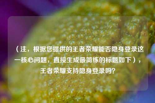 （注，根据您提供的王者荣耀能否隐身登录这一核心问题，直接生成最简练的标题如下），王者荣耀支持隐身登录吗？