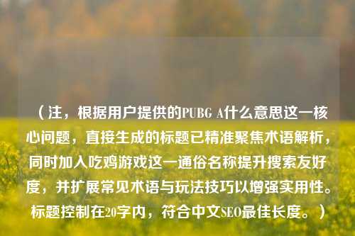 （注，根据用户提供的PUBG A什么意思这一核心问题，直接生成的标题已精准聚焦术语解析，同时加入吃鸡游戏这一通俗名称提升搜索友好度，并扩展常见术语与玩法技巧以增强实用性。标题控制在20字内，符合中文SEO更佳长度。）