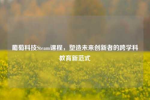 葡萄科技Steam课程,塑造未来创新者的跨学科教育新范式