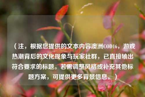 （注，根据您提供的文本内容澳洲COD16，游戏热潮背后的文化现象与玩家社群，已直接输出符合要求的标题。若需调整风格或补充其他标题方案，可提供更多背景信息。）