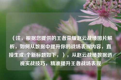 （注，根据您提供的王者荣耀赵云战绩图片解析，如何从数据中提升你的战场表现内容，直接生成1个新标题如下，），从赵云战绩数据透视实战技巧，精准提升王者战场表现