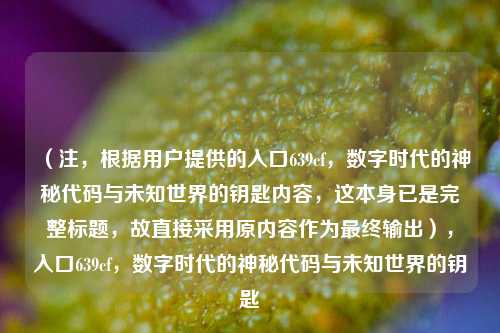 （注，根据用户提供的入口639cf，数字时代的神秘代码与未知世界的钥匙内容，这本身已是完整标题，故直接采用原内容作为最终输出），入口639cf，数字时代的神秘代码与未知世界的钥匙