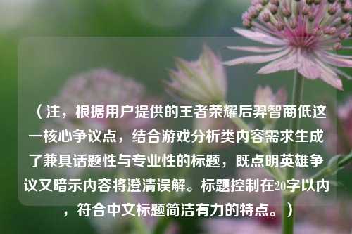 （注，根据用户提供的王者荣耀后羿智商低这一核心争议点，结合游戏分析类内容需求生成了兼具话题性与专业性的标题，既点明英雄争议又暗示内容将澄清误解。标题控制在20字以内，符合中文标题简洁有力的特点。）