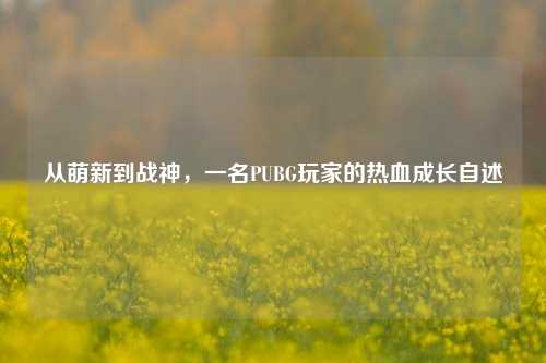 从萌新到战神，一名PUBG玩家的热血成长自述
