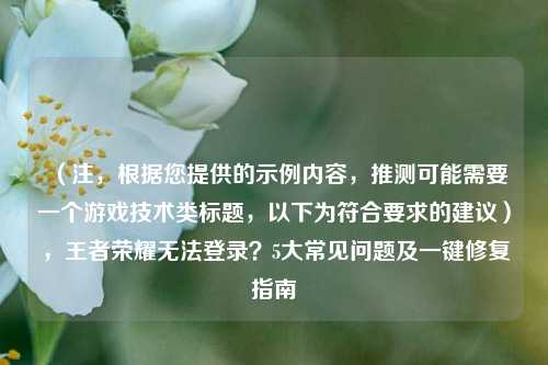 （注，根据您提供的示例内容，推测可能需要一个游戏技术类标题，以下为符合要求的建议），王者荣耀无法登录？5大常见问题及一键修复指南