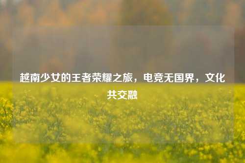 越南少女的王者荣耀之旅,电竞无国界,文化共交融