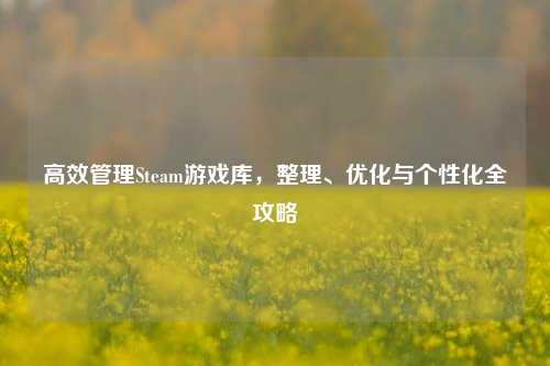高效管理Steam游戏库，整理、优化与个性化全攻略