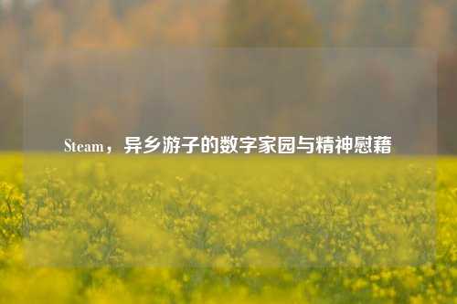 Steam，异乡游子的数字家园与精神慰藉