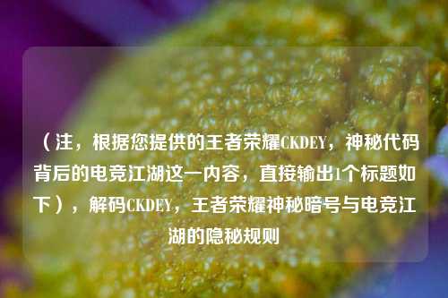 （注，根据您提供的王者荣耀CKDEY，神秘代码背后的电竞江湖这一内容，直接输出1个标题如下），解码CKDEY，王者荣耀神秘暗号与电竞江湖的隐秘规则