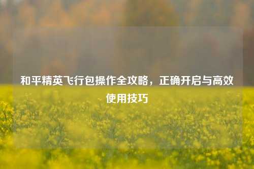 和平精英飞行包操作全攻略，正确开启与高效使用技巧