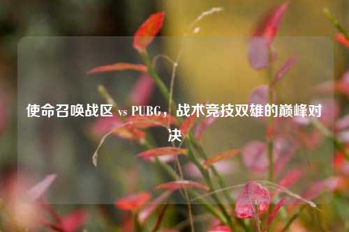 使命召唤战区 vs PUBG，战术竞技双雄的巅峰对决