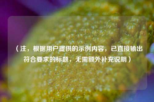 （注，根据用户提供的示例内容，已直接输出符合要求的标题，无需额外补充说明）