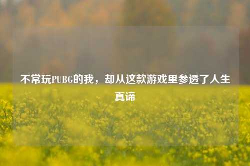 不常玩PUBG的我，却从这款游戏里参透了人生真谛