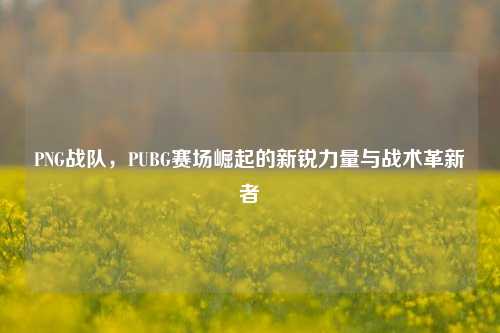PNG战队，PUBG赛场崛起的新锐力量与战术革新者