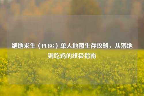 绝地求生（PUBG）单人地图生存攻略，从落地到吃鸡的终极指南
