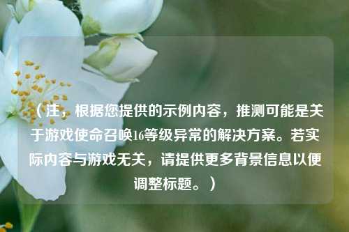 （注，根据您提供的示例内容，推测可能是关于游戏使命召唤16等级异常的解决方案。若实际内容与游戏无关，请提供更多背景信息以便调整标题。）